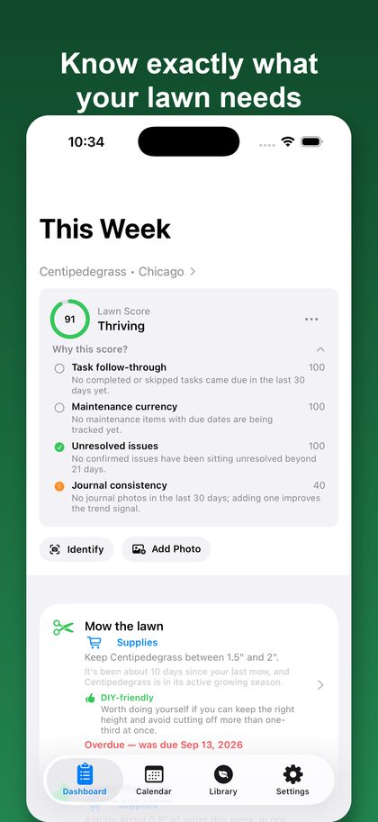 LawnNext dashboard showing this week's tasks and a lawn score of 91