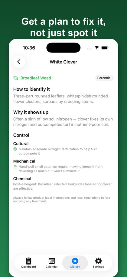 LawnNext detail screen for white clover with identification and control tips