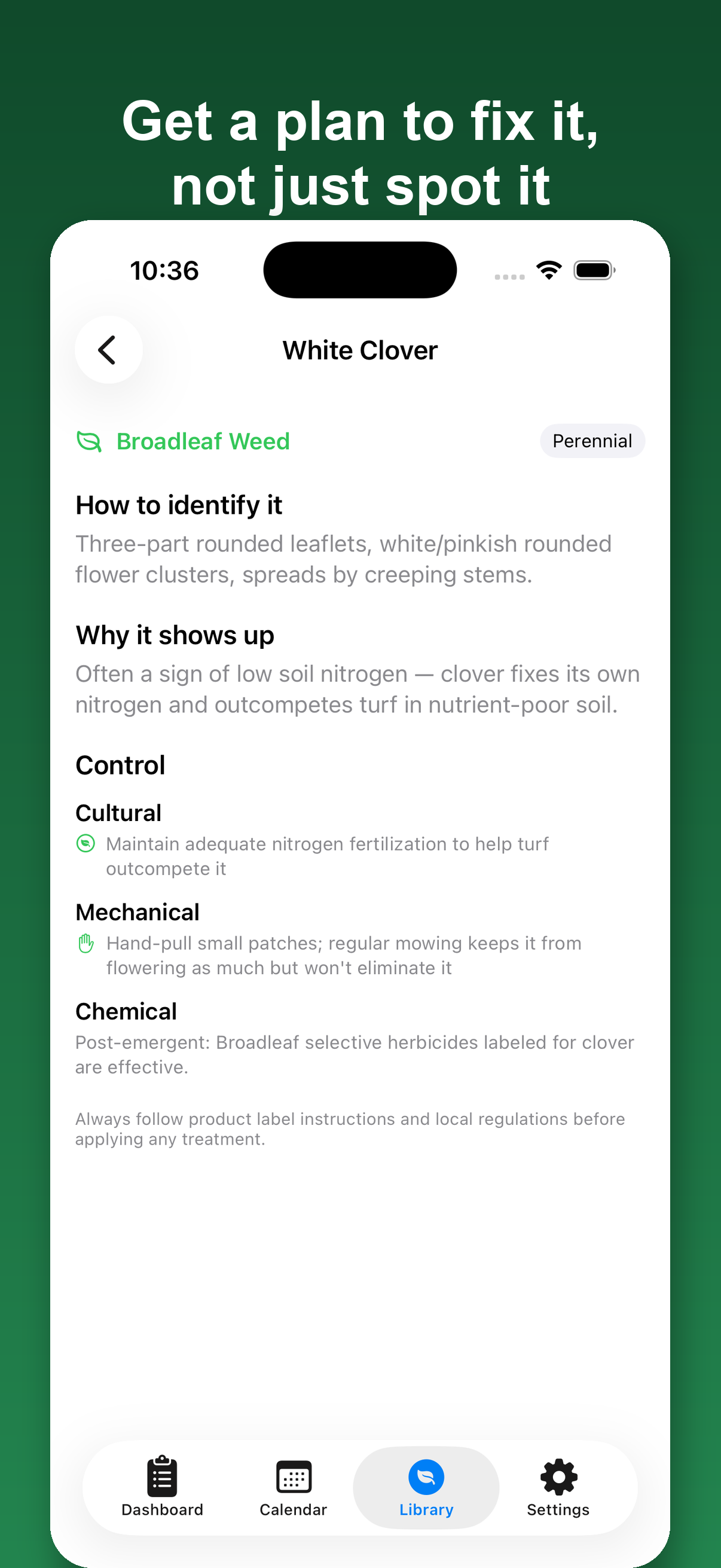 LawnNext weed detail screen with identification and control guidance